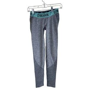 Gymshark Grey Flex with Teal Band Workout Leggings